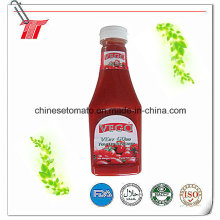 340g Tomato Ketchup with Plastic Bottle Paching